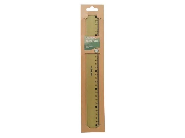 Règle Econovo 30cm blister 1 pièce