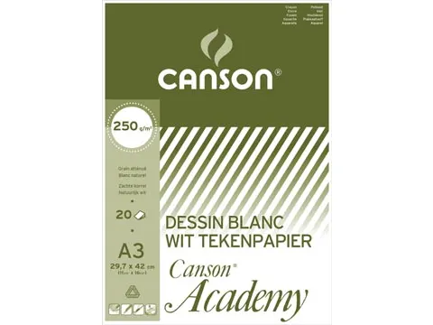 tekenpapier Academy 250 g 29,7 x 42 cm A3 20 vel