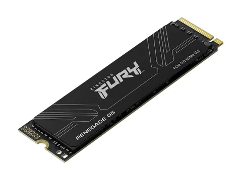 8T FURY RENEGADE G5 M.2 2280 NVMe SSD