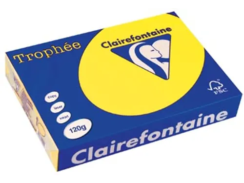 Trophée Intens Gekleurd Papier A4 120 gram 250vel Zonnegeel