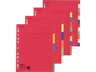 Tabblad recycled karton A4+ 5tabs - 5
