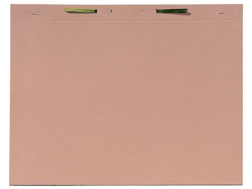 Binnenmap Djois folio met snelhechter 300gr chamois