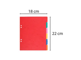 Tabbladen glanskarton 225g 6-delig schoolformaat 17x22cm Assorti - 4