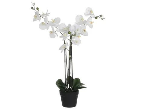 Kunstplant Mica Phalaenopsis orchidee wit in plastic pot 79x51cm