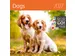 Kalender 2027 Helma 365 30x30cm honden