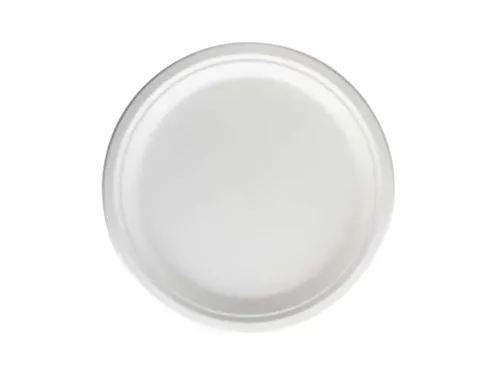 Bord IEZZY 260mm suikerriet PFAS-vrij wit 50 stuks wit