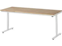 Werkbank Elektrisch Hoogte Verstelbaar 720-1120x2000x800mm Beukblad