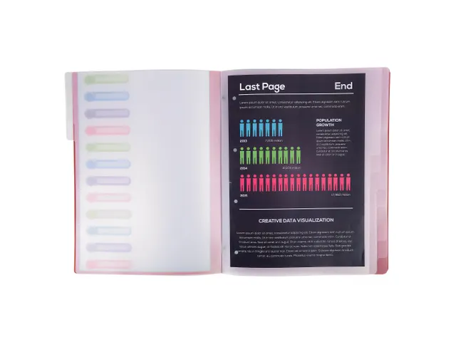 Sorteermap PP venste rs 12 vak geass.