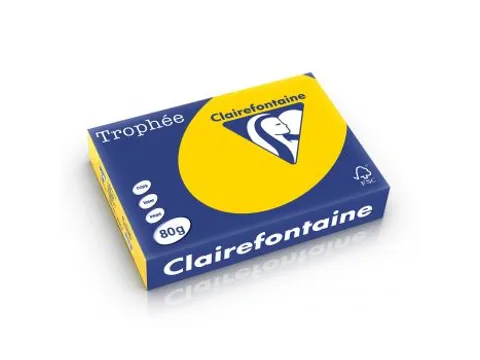 Trophée Pastel gekleurd papier A4 80 gram 500vel Goudgeel