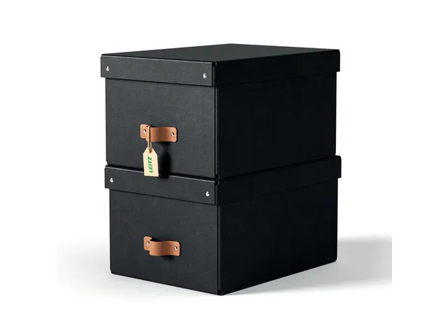 Leitz Puro Opbergdoos met deksel medium 17L set van 2 zwart