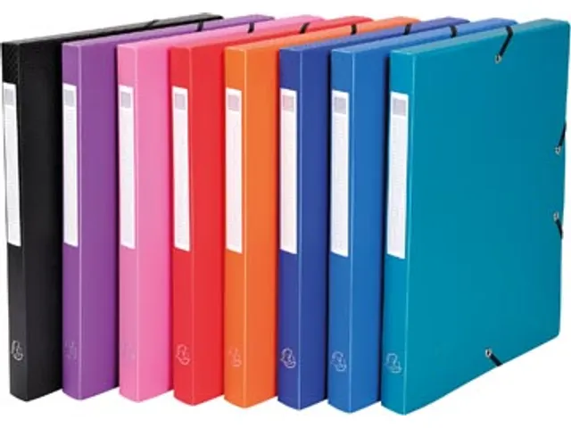 Elastobox A4 Rug Van 25mm PP Assorti Kleuren