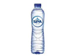 Water Spa Reine blauw petfles 500ml