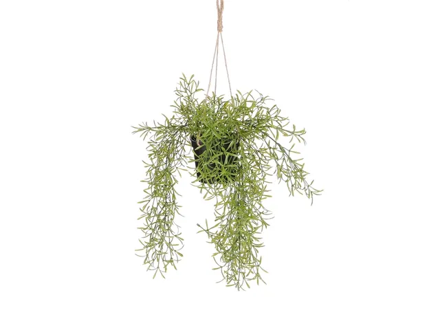 Kunstplant Mica Rhipsalis hangend in pot groen 40x20cm