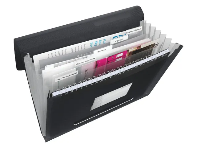 Projectmap Vivida Pp A4 Zwart 6 Vaks