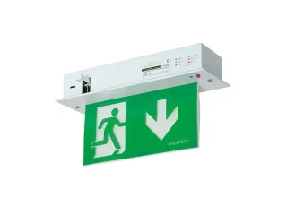 LED-noodverlichting,symbool/tekst: "nooduitgang",pijl omlaag - 1