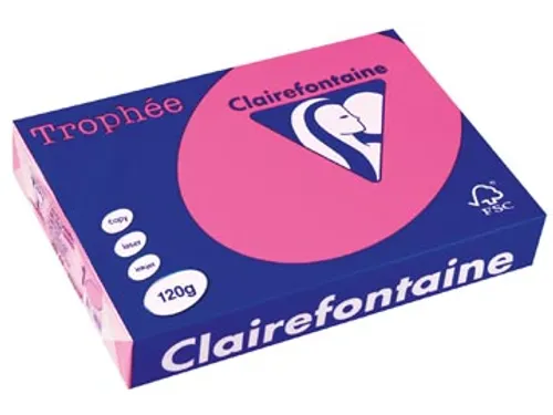 Trophée Pastel gekleurd papier A4 120 gram 250vel Eglantine roze
