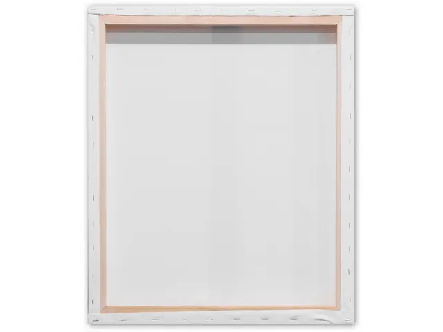 bespannen spieraam 3D 50 x 60 cm set van 2 stuks