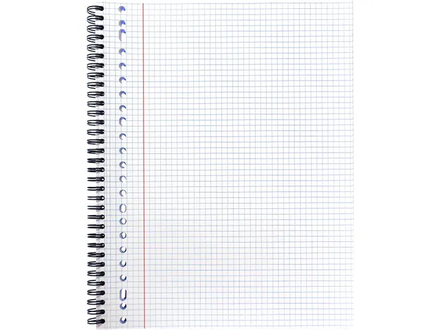 collegedictaat A4 geruit 5 mm 23-gaats 80 vel 90 gram