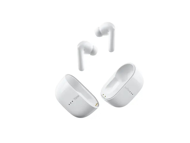 Timekettle M3 translator earbuds offline versie wit