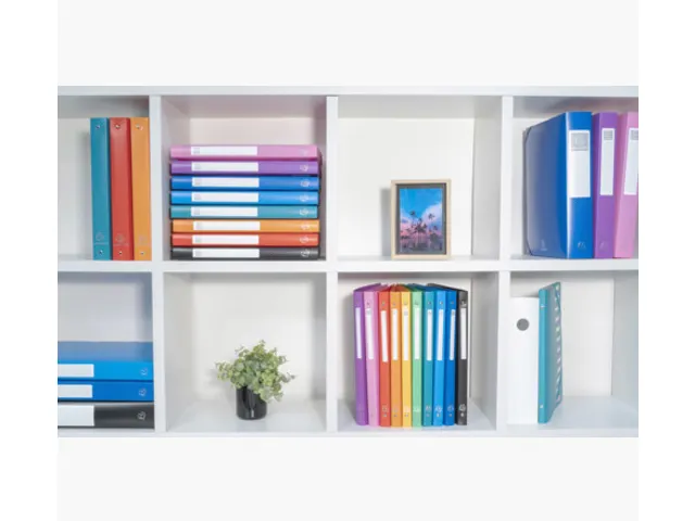 Ringband Exacompta A4 4-rings O-mech 15mm PP assorti