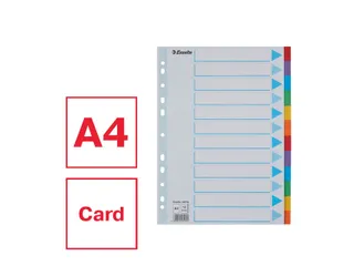 Tabbladen Esselte A4 11-Gaats Karton 12-Delig Assorti - 4
