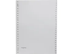 tabbladen, ft A4, 23-gaatsperforatie, grijze PP, set 1-52