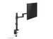 Neomounts NEXT Lite DS60-425BL1 Support à fixer pour écran simple 17