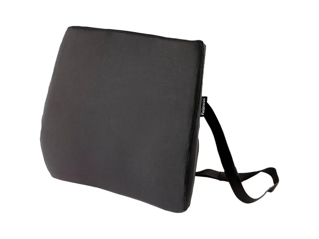 Coussin dorsal Fellowes Breyta Comfort noir