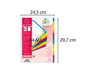 Tabbladen A4+ PP Assorti Campus Doorschijnend 12-Delig 11-Gaats - 5