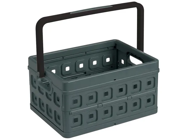 #*Square vouwkrat met extra handgreep 24L zwart/anthr44 x 31,5 x 21 cm