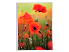 Fotoalb insteekhoeze n 64 foto 10x15cm