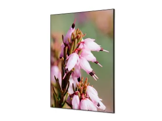 Wanddecoratie Textiel Set A1 Roze Bloem Erica - 1