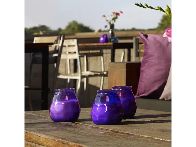 Bolsius Professional Twilight Paars Horeca kaars 12 stuks