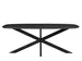Table de réunion Harper Pied araignée Ovale danois 200x100cm Noir