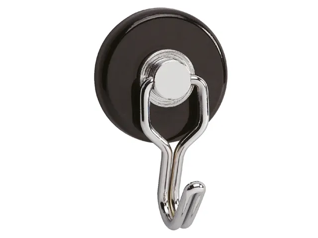 Magneet met haak MAUL Ø35mm trekkracht 5kg metaal 2 stuks