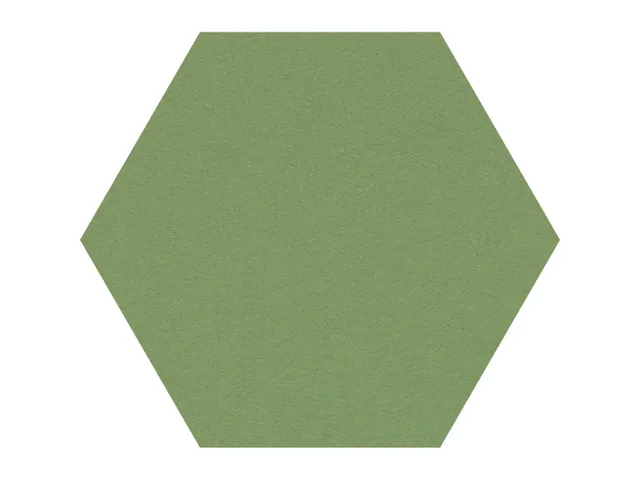 Prikbord Zeshoek Groen Kleur 2213 Bulletin Paneel Ø 60cm frameloos