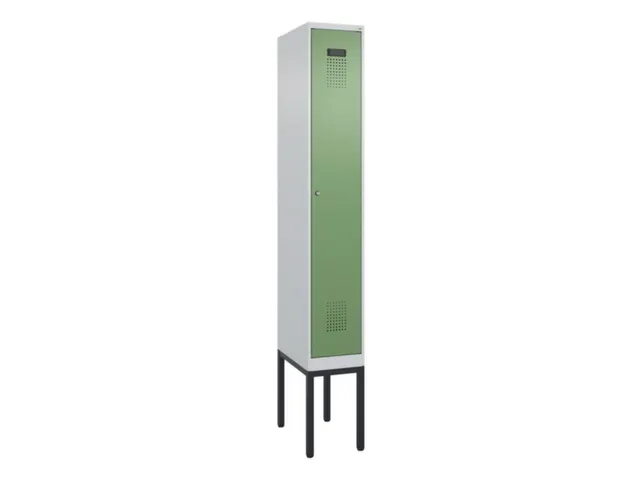 locker voor scheiding van kleding,HxBxD 2120x300x500mm,1vak