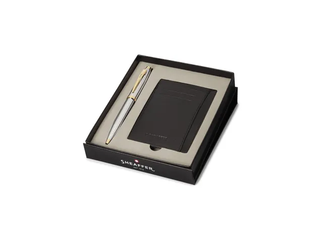 Balpen Giftset SHEAFFER 300 G9342 Bright chrome gold tone met creditca