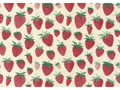 Rotolux Apparaatrol Strawberry 200mx30cm inpakpapier