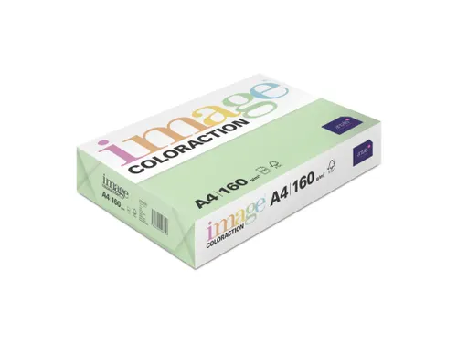 Kopieerpapier Forrest Middelgroen A4 160 Gram 250 Vel
