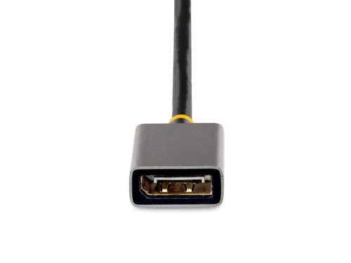 HDMI naar DisplayPort Kabel 30cm 4K 60Hz HDR