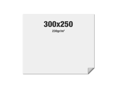 Print voor FlexFrame beurswand 300x250cm