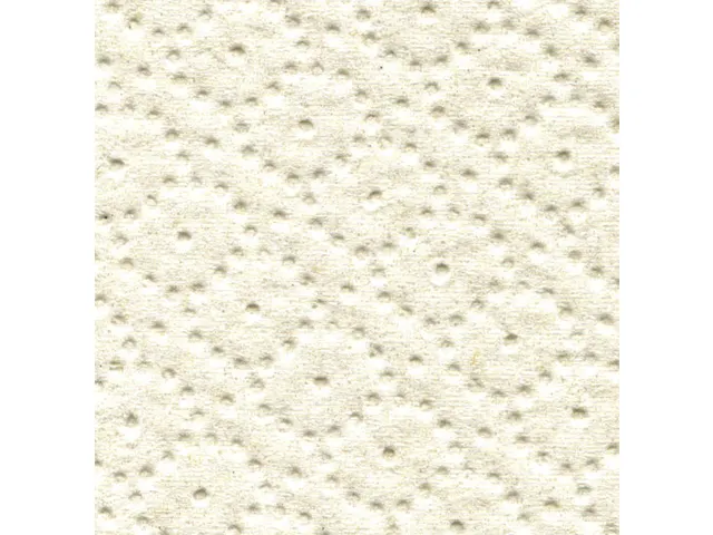 Toiletpapier Satino Comfort JT1 2-laags 180m wit 317810