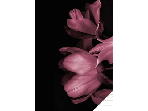 Schrift Classy Black A4 lijn