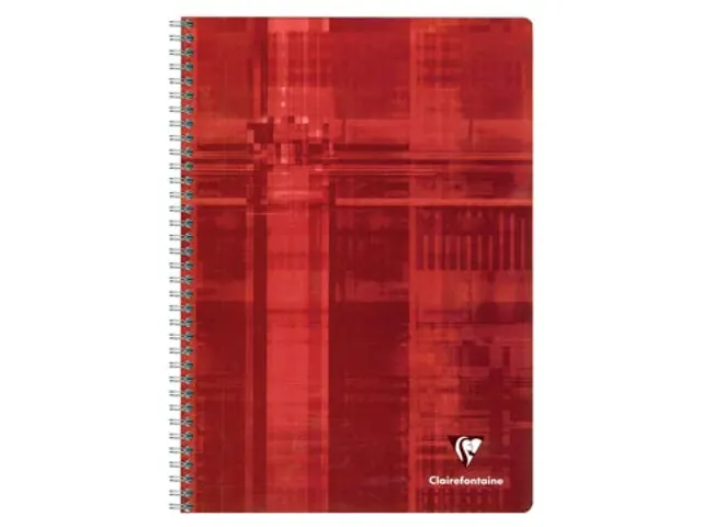 schrift A4 180 blz, geruit 5 mm, spiraalbinding, assorti