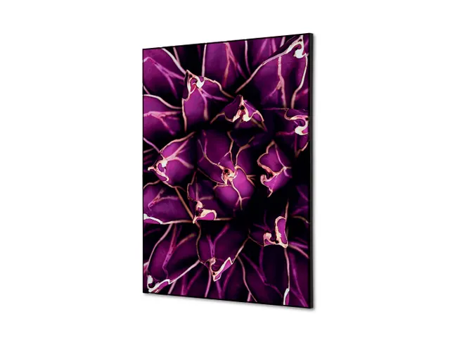 Wanddecoratie Textiel Set A2 Cactus Paars