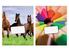 Schrift Kangaro 165x210mm schoonschrijven 72 pagina's 80gr