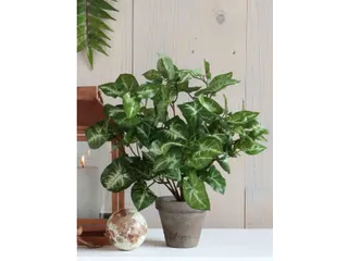 Kunstplant Mica Syngonium groen in pot 35x25cm - 3