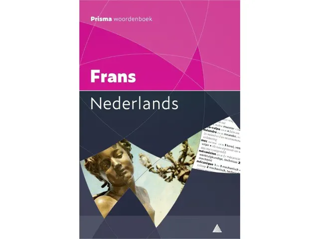 Woordenboek Prisma pocket Frans-Nederlands