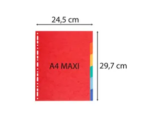 Tabbladen karton 220g 6-delig A4 maxi Assorti - 2
